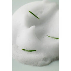 Some By Mi AHA BHA PHA 30 Days Miracle Acne Clear Foam