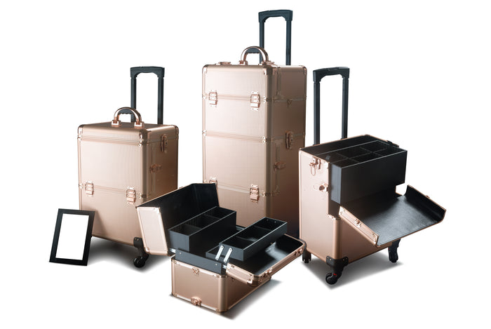 Professional Makeup Trolley Case